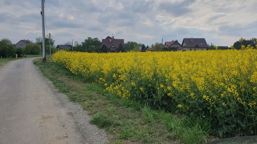 Kraków, Nowa Huta, Wolica, Brzeska, Działka na sprzedaż