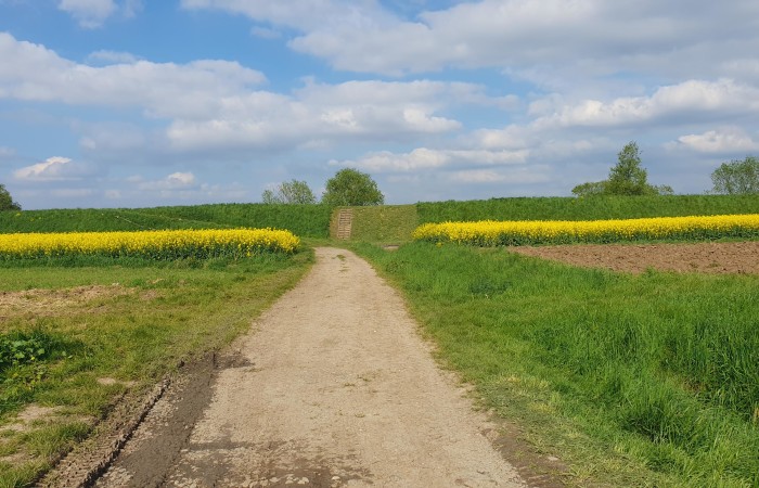 Kraków, Nowa Huta, Wolica, Brzeska, Działka na sprzedaż