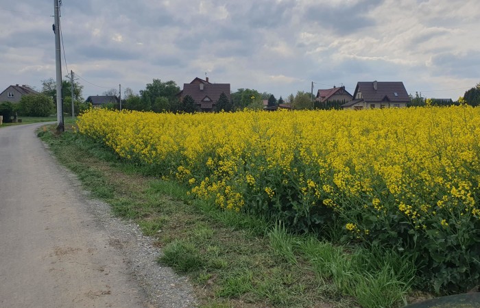 Kraków, Nowa Huta, Wolica, Brzeska, Działka na sprzedaż