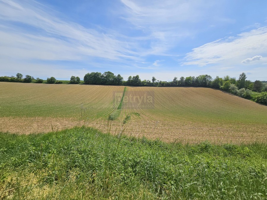 krakowski, Michałowice, Michałowice, Działka na sprzedaż