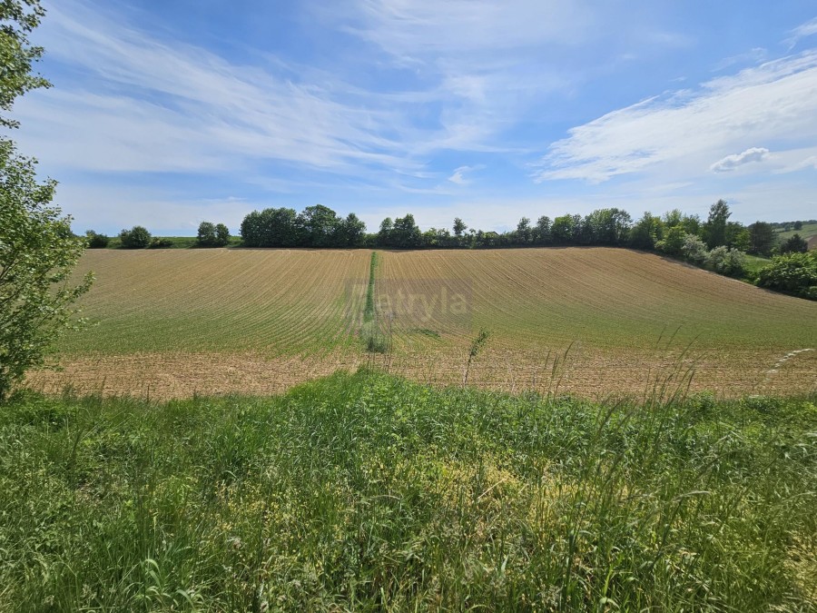 krakowski, Michałowice, Michałowice, Działka na sprzedaż