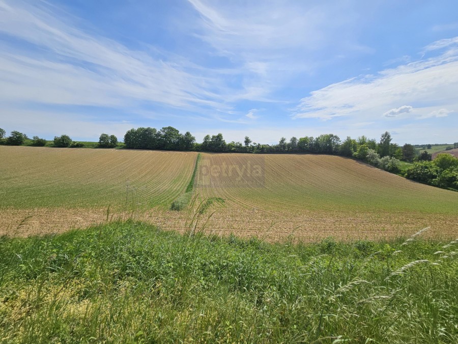 krakowski, Michałowice, Michałowice, Działka na sprzedaż